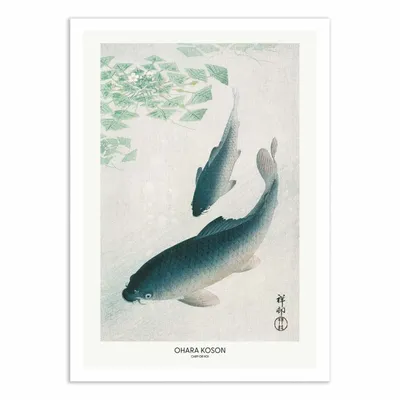 Affiches - Affiche - Carp Or Koi - Pictufy - WALL EDITIONS
