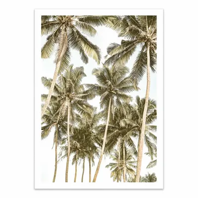 Poster - Art-Poster - Island Bliss - Shot by Clint - WALL EDITIONS