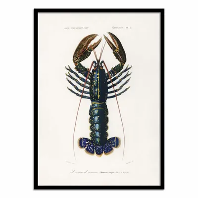 Affiches - Affiche - Crimson Crawfish - Charles Dessalines D - WALL EDITIONS