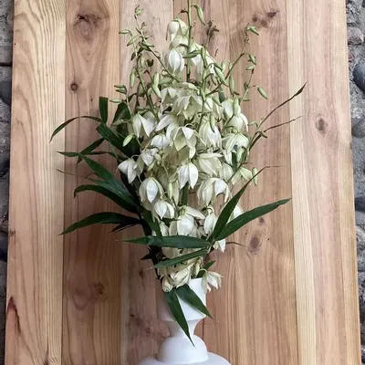 Design objects - Sculptural, geometric vase in white porcelain - Oneiros E4 - CALLIGRAMME