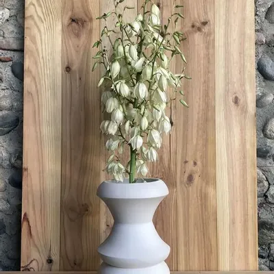 Unique pieces - Sculptural, geometric vase in white porcelain - Palindrome C3L - CALLIGRAMME