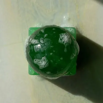 Soap dishes - OBA - Aloe Vera - MATIAS MOELLENBACH