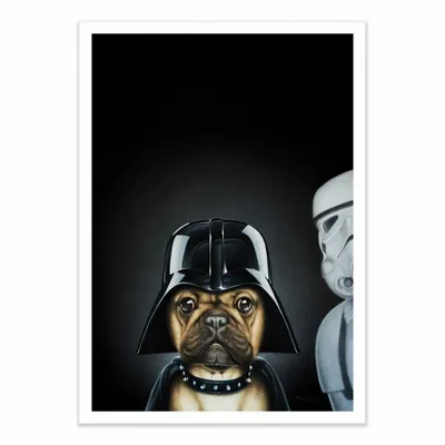 Affiches - Affiche - Dog Vador - Alexandre Granger - WALL EDITIONS