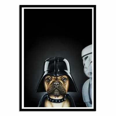 Affiches - Affiche - Dog Vador - Alexandre Granger - WALL EDITIONS