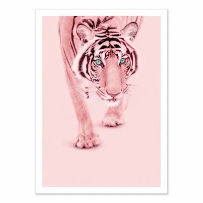 Poster - Art-Poster - Pink tiger - Paul Fuentes - WALL EDITIONS