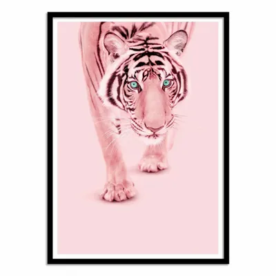 Poster - Art-Poster - Pink tiger - Paul Fuentes - WALL EDITIONS