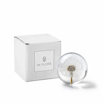 Décorations florales - In Flore Dandelion Paperweight, 8 cm, White - WWA AB, IN FLORE