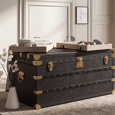 Storage boxes - Black leather trunk - ANGEL CERDÁ