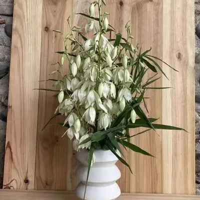 Poterie - Vase sculptural et géométrique en porcelaine blanche - Palindrome C4S - CALLIGRAMME