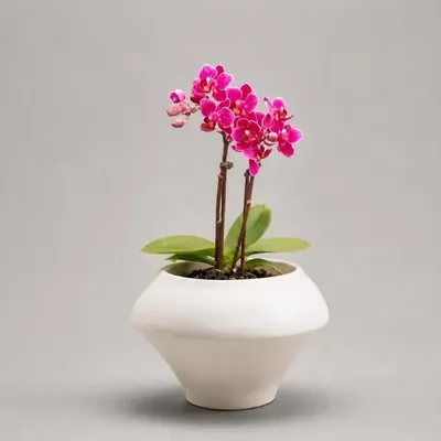 Candlesticks and candle holders - Mini plant pot or candleholder - Mini P.2 - CALLIGRAMME