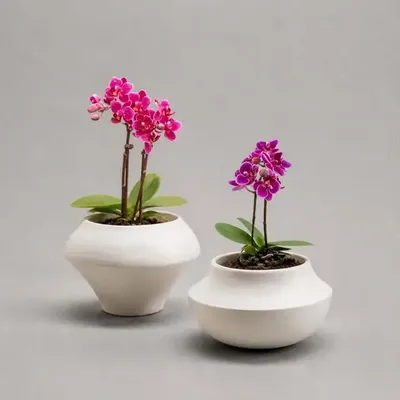 Ceramic - Set of 2 Mini plant pots or candleholders - Mini P.Set - CALLIGRAMME