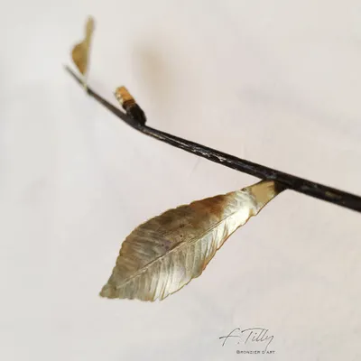 Other wall decoration - BRANCH OF LIFE - FRÉDÉRIQUE TILLY