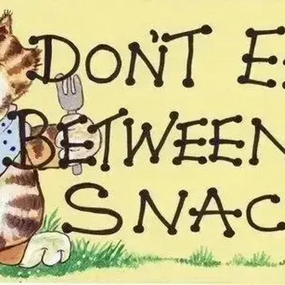 Panels - Don't Eat Between Snacks - SOMETHING DIFFERENT WHOLESALE EUROPE BV