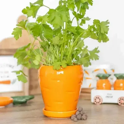 Pots de fleurs - Pot de fleurs en forme de carotte avec des boules de graines de persil - SOMETHING DIFFERENT WHOLESALE EUROPE BV