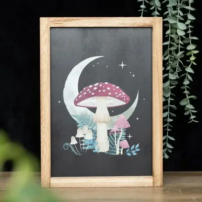 Panneaux séparateurs - Tableau encadré Champignons de la forêt - SOMETHING DIFFERENT WHOLESALE EUROPE BV