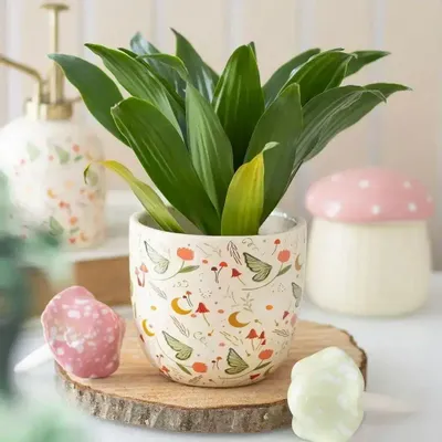 Pots de fleurs - Pot de fleurs imprimé conte de fées - SOMETHING DIFFERENT WHOLESALE EUROPE BV