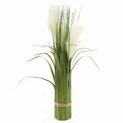 Objets de décoration - Herbe de la pampa artificielle sur pied de 61 cm - SOMETHING DIFFERENT WHOLESALE EUROPE BV