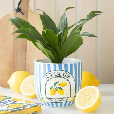 Flower pots - Blue Striped La Dolce Vita Plant Pot - SOMETHING DIFFERENT WHOLESALE EUROPE BV