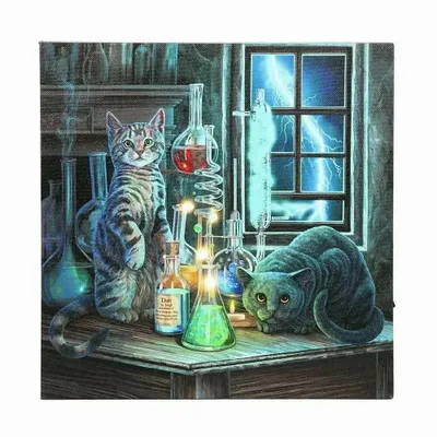 Decorative objects - Jekyll and Hyde Light Up LED Canvas Plaque by Lisa Parker - SOMETHING DIFFERENT WHOLESALE EUROPE BV