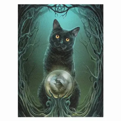 Objets de décoration - Plaque sur toile 19x25cm « L'Ascension des Sorcières » de Lisa Parker - SOMETHING DIFFERENT WHOLESALE EUROPE BV