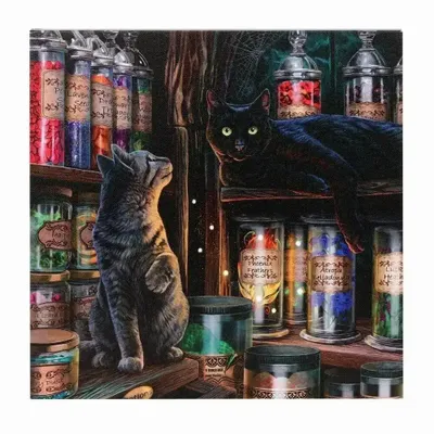Decorative objects - Magical Emporium Light Up Canvas Plaque by Lisa Parker - SOMETHING DIFFERENT WHOLESALE EUROPE BV