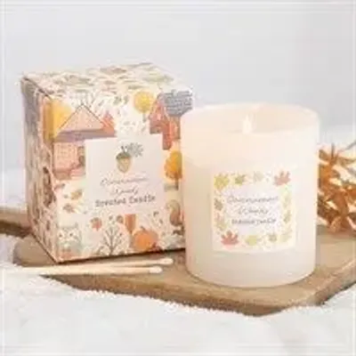 Objets de décoration - Bougie parfumée Cinnamon Woods – cannelle et notes boisées - SOMETHING DIFFERENT WHOLESALE EUROPE BV