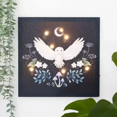 Decorative objects - Night Owl Light Up Canvas Plaque - SOMETHING DIFFERENT WHOLESALE EUROPE BV