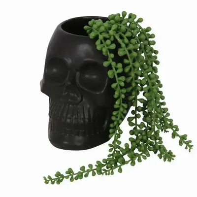Pots de fleurs - Pot de fleurs en forme de crâne noir - SOMETHING DIFFERENT WHOLESALE EUROPE BV