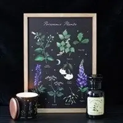 Objets de décoration - Illustration murale encadrée Poisonous Plants - SOMETHING DIFFERENT WHOLESALE EUROPE BV