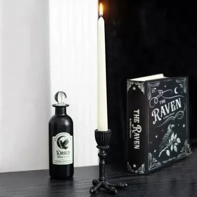 Candlesticks and candle holders - Raven Claw Taper Candle Holder - SOMETHING DIFFERENT WHOLESALE EUROPE BV