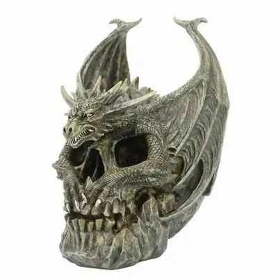 Ornements - Ornement Crâne de Dragon Draco par Spiral Direct - SOMETHING DIFFERENT WHOLESALE EUROPE BV