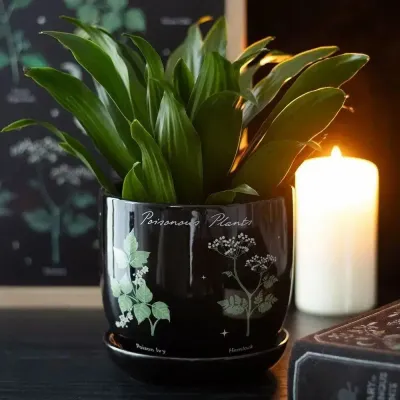 Flower pots - Poisonous Plants Plant Pot - SOMETHING DIFFERENT WHOLESALE EUROPE BV