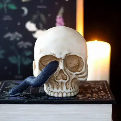 Ornaments - Skull Ornament with Snake - SOMETHING DIFFERENT WHOLESALE EUROPE BV