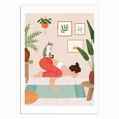 Poster - Art-Poster - Cat Yoga - Petra Holikova - WALL EDITIONS