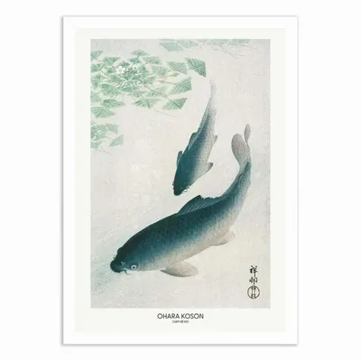 Affiches - Affiche - Carp Or Koi - Pictufy - WALL EDITIONS