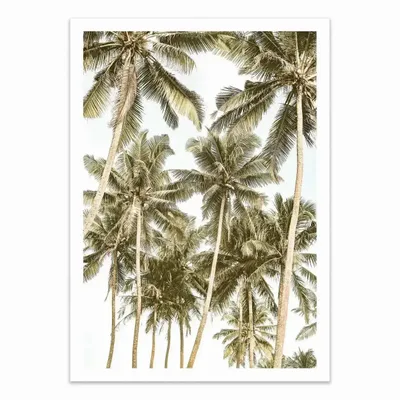 Poster - Art-Poster - Island Bliss - Shot by Clint - WALL EDITIONS