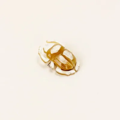 Brooches - Scarabee brooch in blond horn - L INDOCHINEUR X RIVÊT