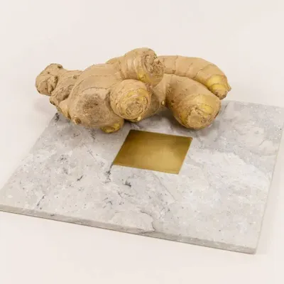 Table mat - Cygnus trivet - L INDOCHINEUR X RIVÊT