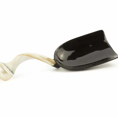 Couverts de service - Cuillère à riz ovale manche escargot en corne noire et nacre - L INDOCHINEUR X RIVÊT