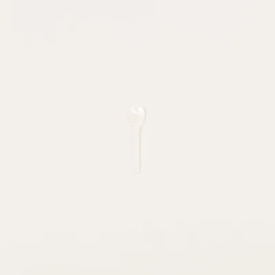 Cutlery set - Set of 6 Baguette salt or caviar spoons in white mother-of-pearl - L INDOCHINEUR X RIVÊT
