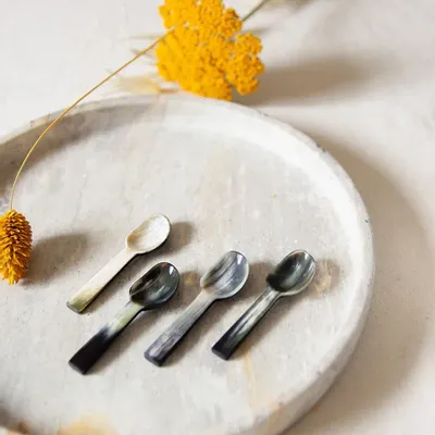Cutlery set - Set of 6 salt spoons in African black horn - L INDOCHINEUR X RIVÊT