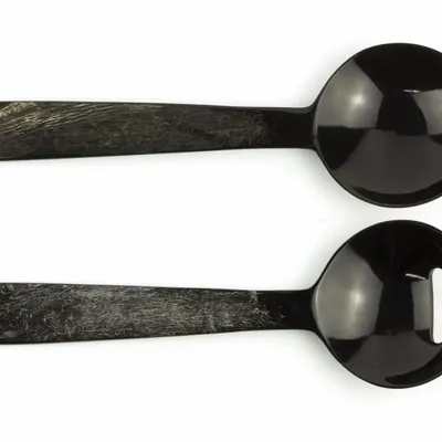 Cutlery set - Small cutlery with raw horn handle - L INDOCHINEUR X RIVÊT