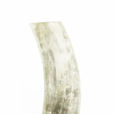 Vases - Vase en corne marbrée blonde taille M - L INDOCHINEUR X RIVÊT