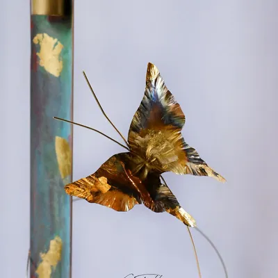 Decorative objects - BUTTERFLY VEILLEUR candle holder oxidized bronze - FRÉDÉRIQUE TILLY