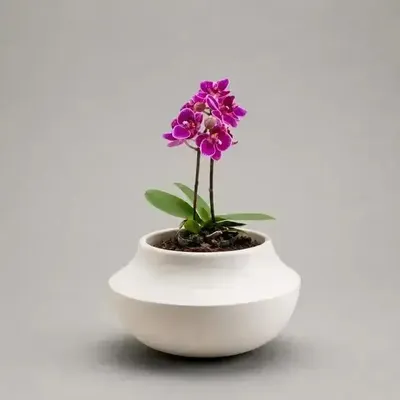 Vases - Mini-pot à plante ou porte-bougie - Mini P.1 - CALLIGRAMME
