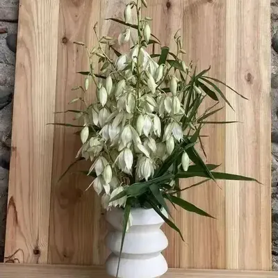 Ceramic - Sculptural, geometric vase in white porcelain - Palindrome C4L - CALLIGRAMME