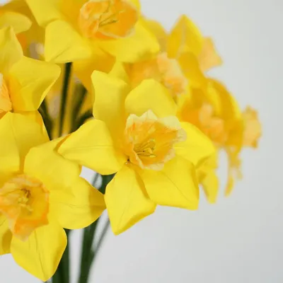 Floral decoration - Daffodil - MAYPAPERFLOWER - VIETNAM