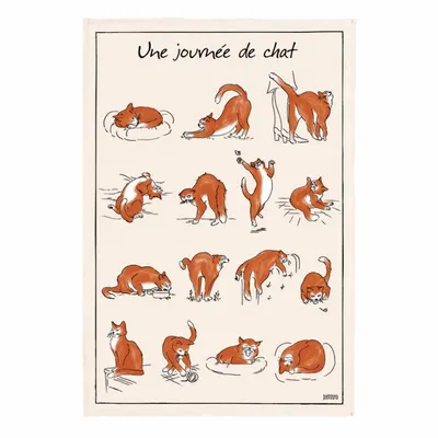 Dish towels - Kitchen Towel Journee De Chat Ecru 48 X 72 - MAISON VIVARAISE - SDE VIVARAISE WINKLER