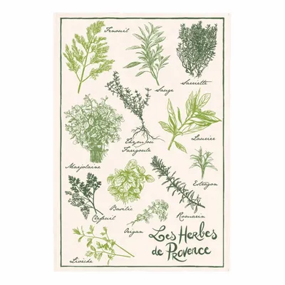 Dish towels - Printed tea towel Les herbes de Provence Écru 48 X 72 - MAISON VIVARAISE - SDE VIVARAISE WINKLER
