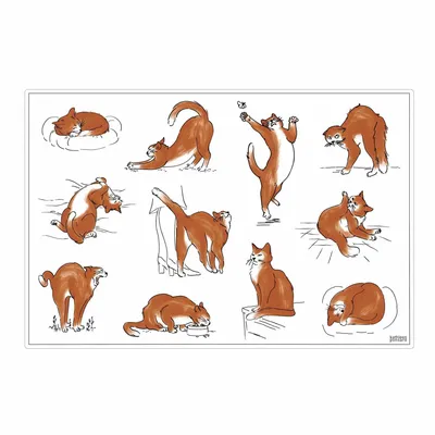 Table cloths - Journée du chat placemat set Assortis 30 X 45 - MAISON VIVARAISE - SDE VIVARAISE WINKLER